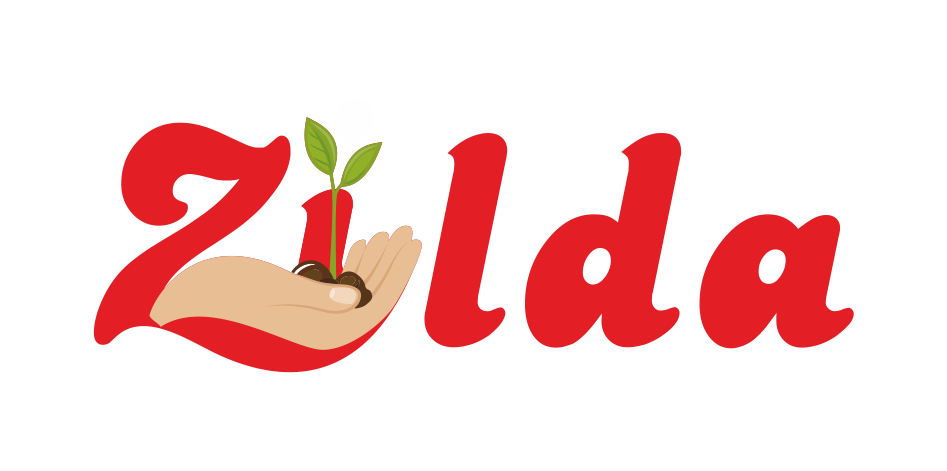 Zilda