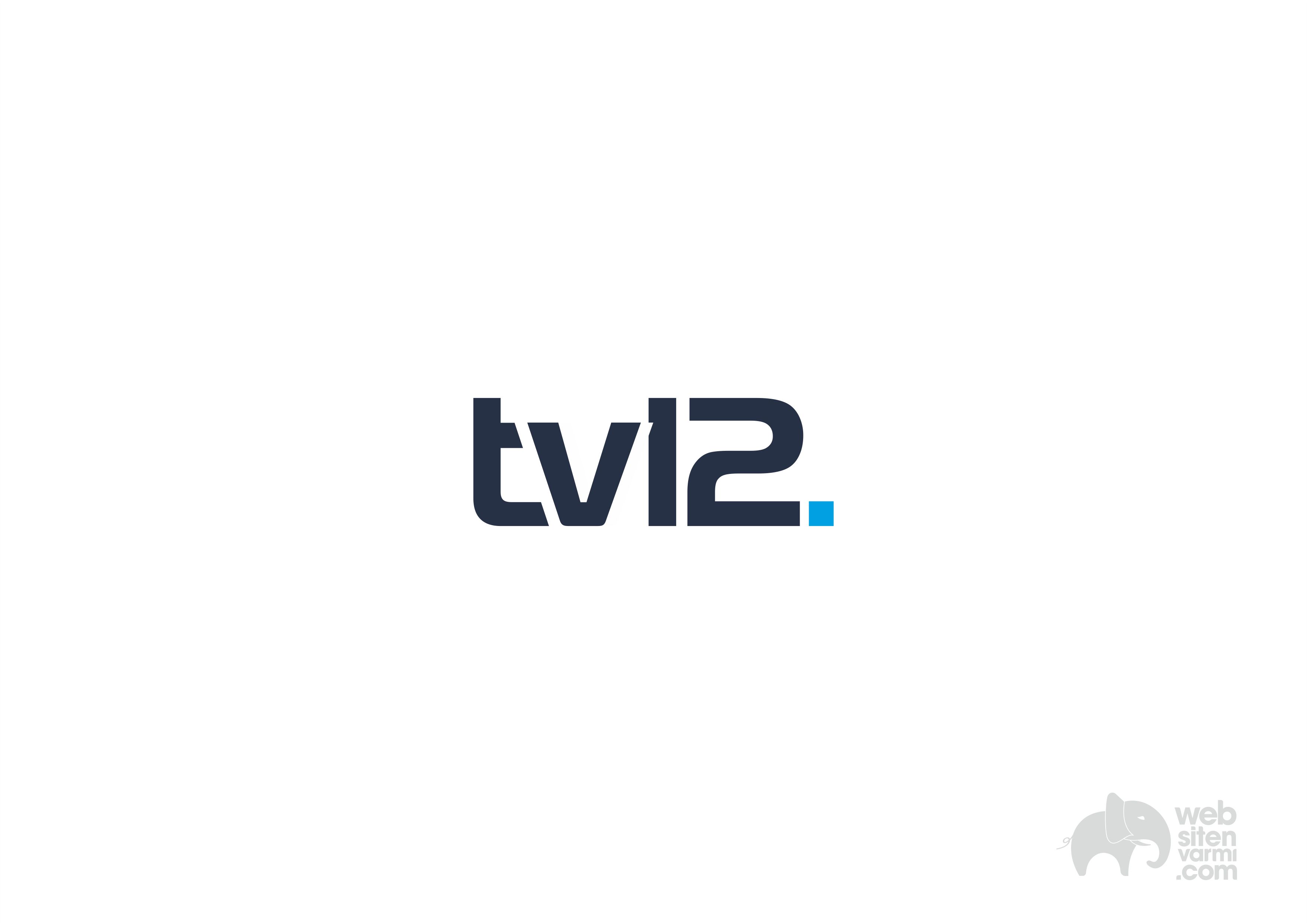 Logo 31